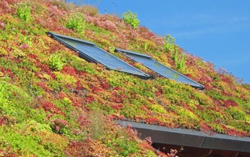 Haughton Le Skerne living roof systems